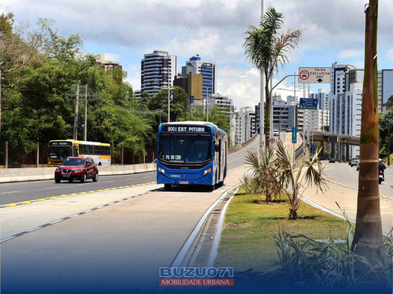 Implantação de faixas exclusivas para o transporte público em Salvador: Uma Necessidade Urgente