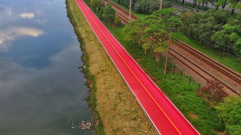 Ciclovia Rio Pinheiros se transforma em galeria de arte a céu aberto