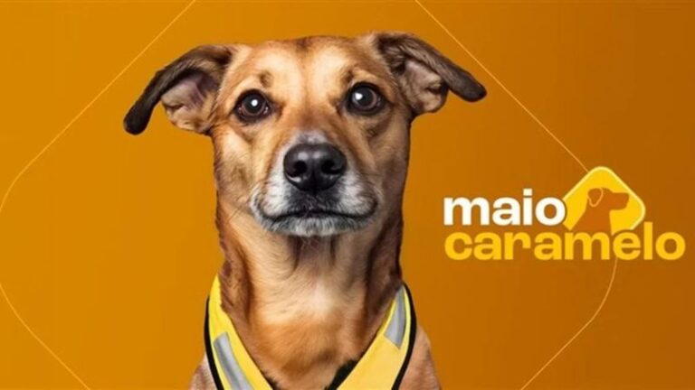Honda lança campanha “Maio Caramelo” com pets influencers para conscientizar motociclistas