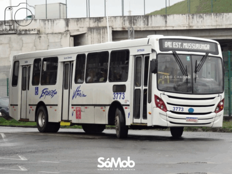 São João: 6 linhas metropolitanas ganham reforço com ônibus reguladores 24h para Estação Mussurunga