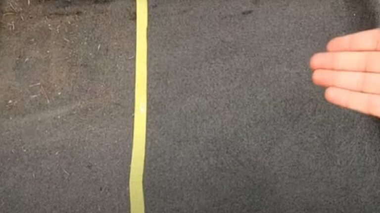 Sem aspirador? Veja como limpar os tapetes do carro com itens que você já tem em casa