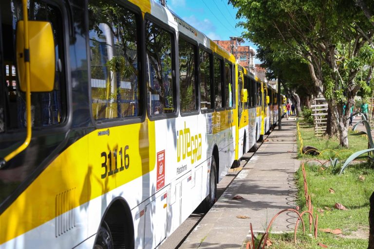 Conheça as 16 linhas de ônibus com viagens ampliadas pela Prefeitura de Salvador