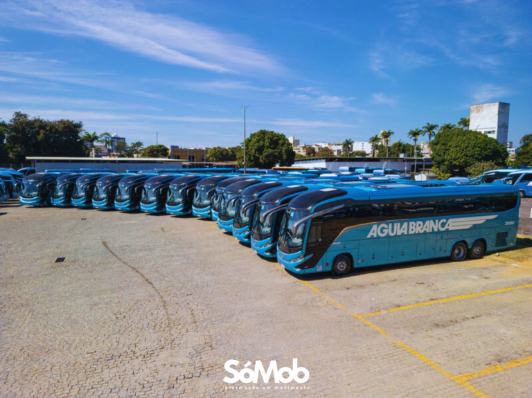 Oportunidade de emprego: Águia Branca abre 40 vagas temporárias para motoristas em Itabuna