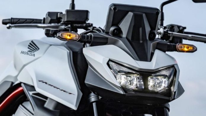 máscara por escrito Lara (16)