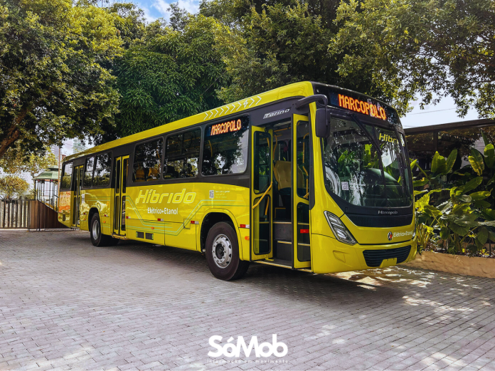 FOTO DESTAQUE SÓMOB (17)