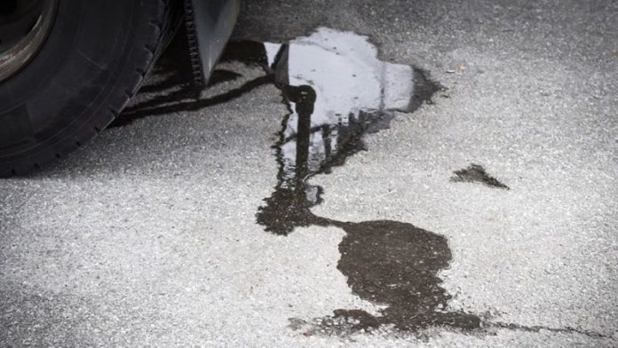 máscara por escrito Lara (4)