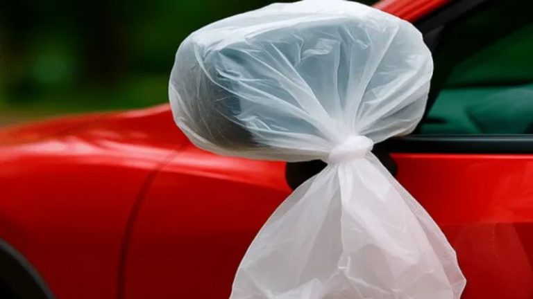 Sacos plásticos nos retrovisores: truque simples contra danos de aves