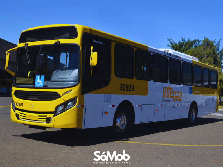 Salvador aposta na renovação, mas deixa a capacidade em segundo plano