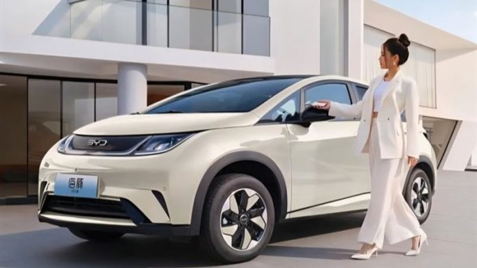 máscara por escrito Lara (10)