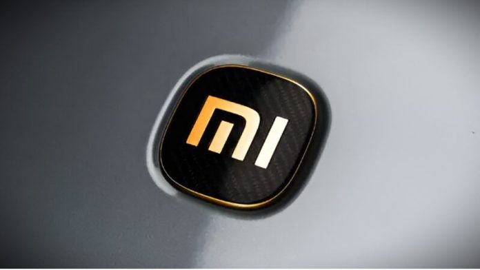 máscara por escrito Lara (3)