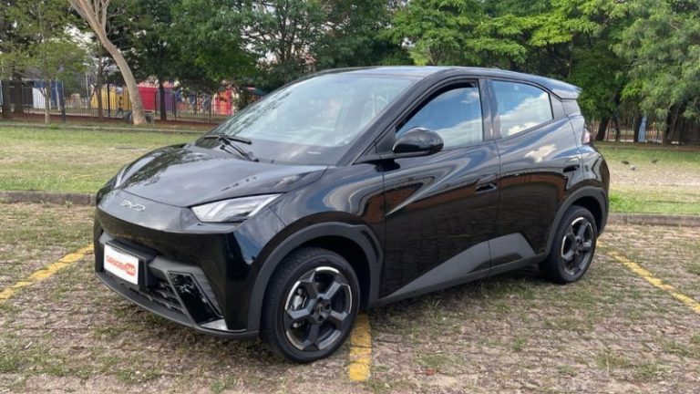 BYD Dolphin Mini usado: análise dos prós e contras