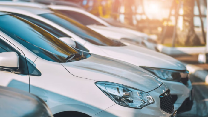 MÁSCARA PADRÃO FOTO SITE POR ESCRITO (14)