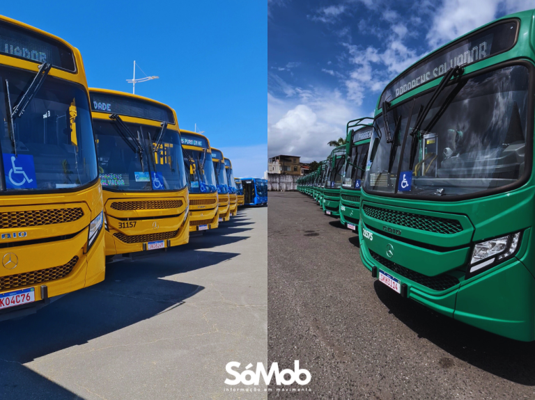 Renovação 2026: primeiros ônibus devem desembarcar em Salvador nas próximas semanas