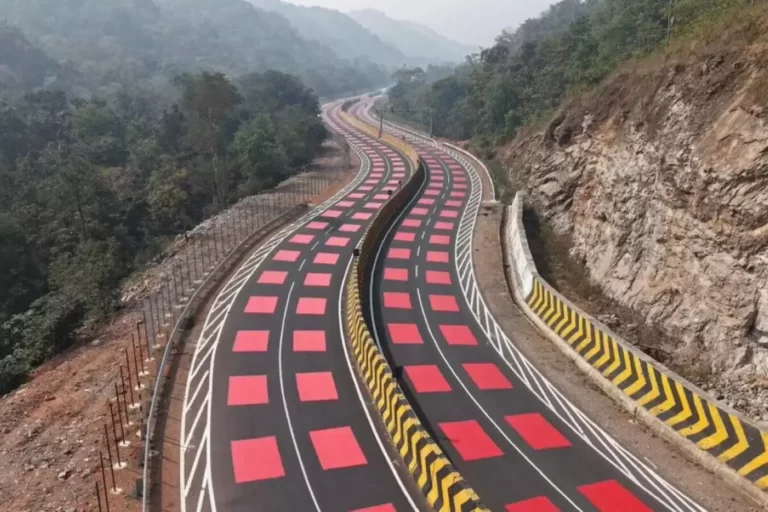 Índia pinta rodovias de vermelho para reduzir atropelamentos de animais e proteger tigres