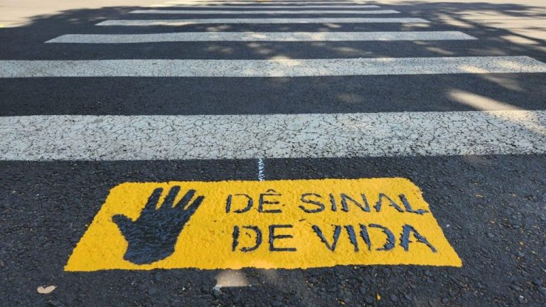Câmara aprova projeto que reforça sinalização em travessias de pedestres