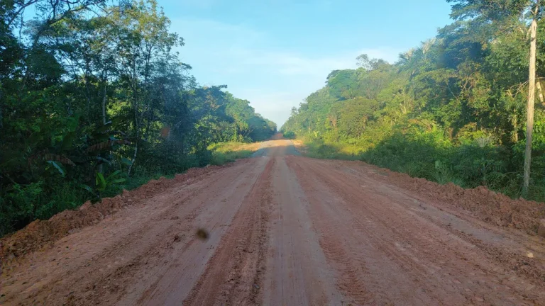 Governo destina R$ 1,45 bi para obras da BR-319, na Região Norte do país