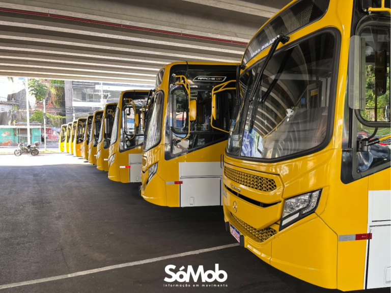 Mirantes de Periperi vai receber 11 novos ônibus e terá renovação da frota em quatro linhas