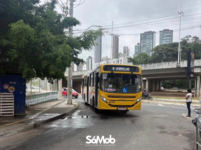 FOTO DESTAQUE SÓMOB (24)