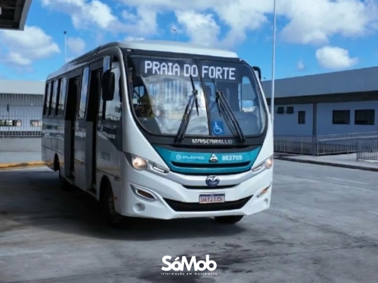 Ônibus de Salvador para Praia do Forte: confira horários, tarifas e opções de retorno